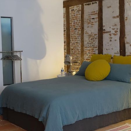 Impasse Du Boeuf Bed & Breakfast Lavaur  Ngoại thất bức ảnh